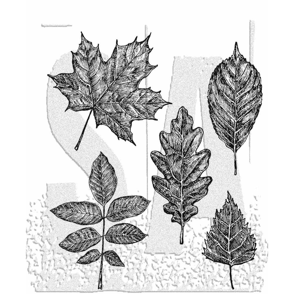 Tim Holtz Cling Rubber Stamp Set - Sketchy Leaves