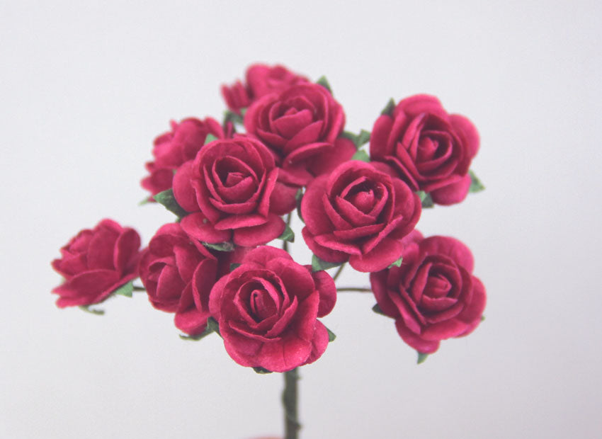 Roses 2cm Hot Pink