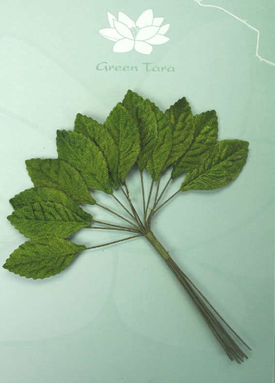 Velvet Leaves 3cm - Green