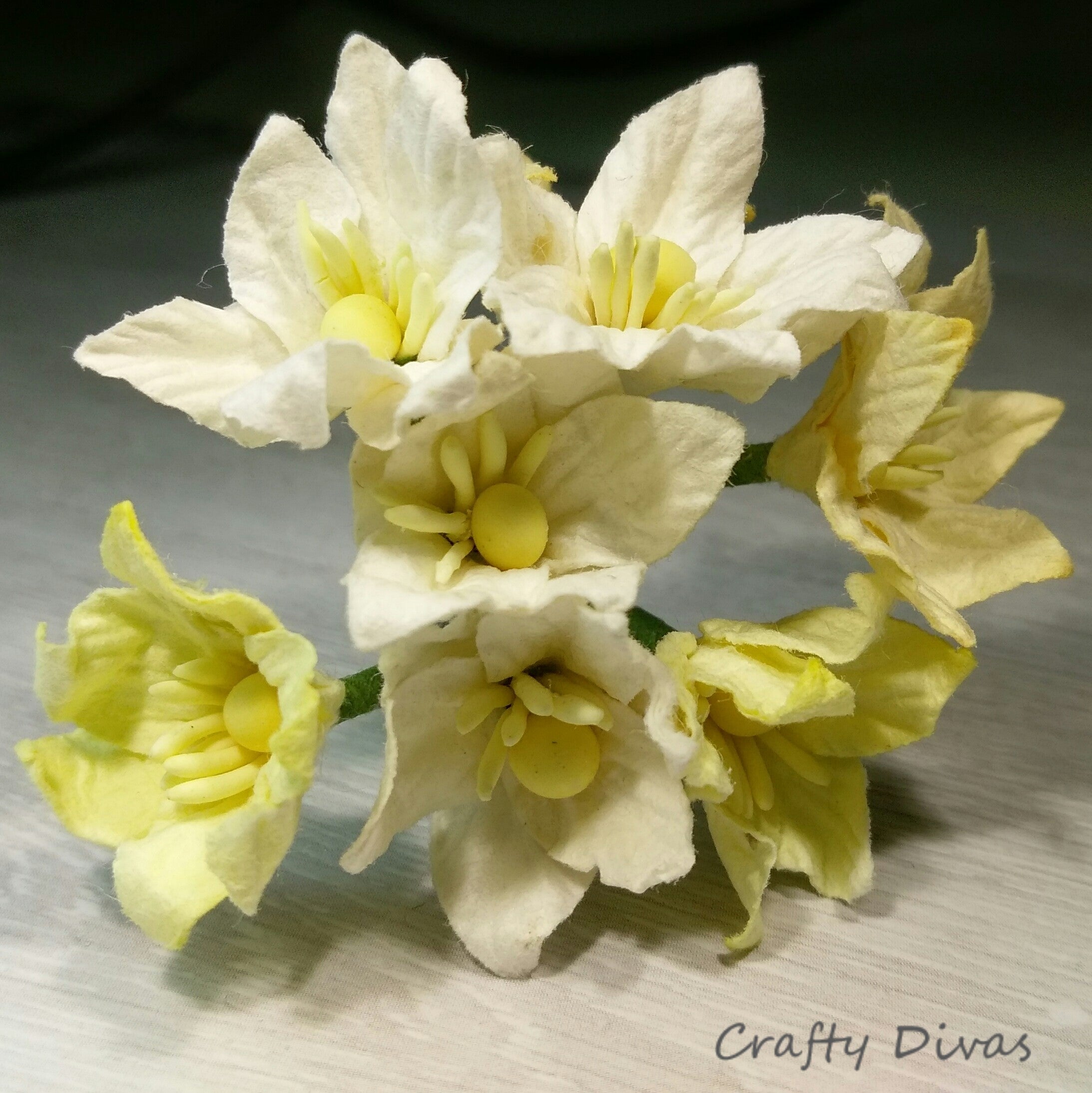 Mulberry Lily Flowers- Shades of Lemon