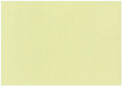 Romanesque - Buttermilk - A4 Shimmer Card 20pcs