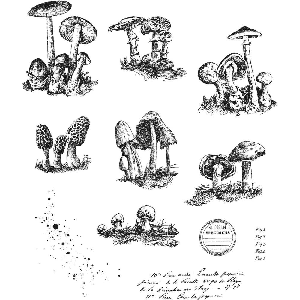 Tim Holtz Cling Stamps - Tiny Toadstools