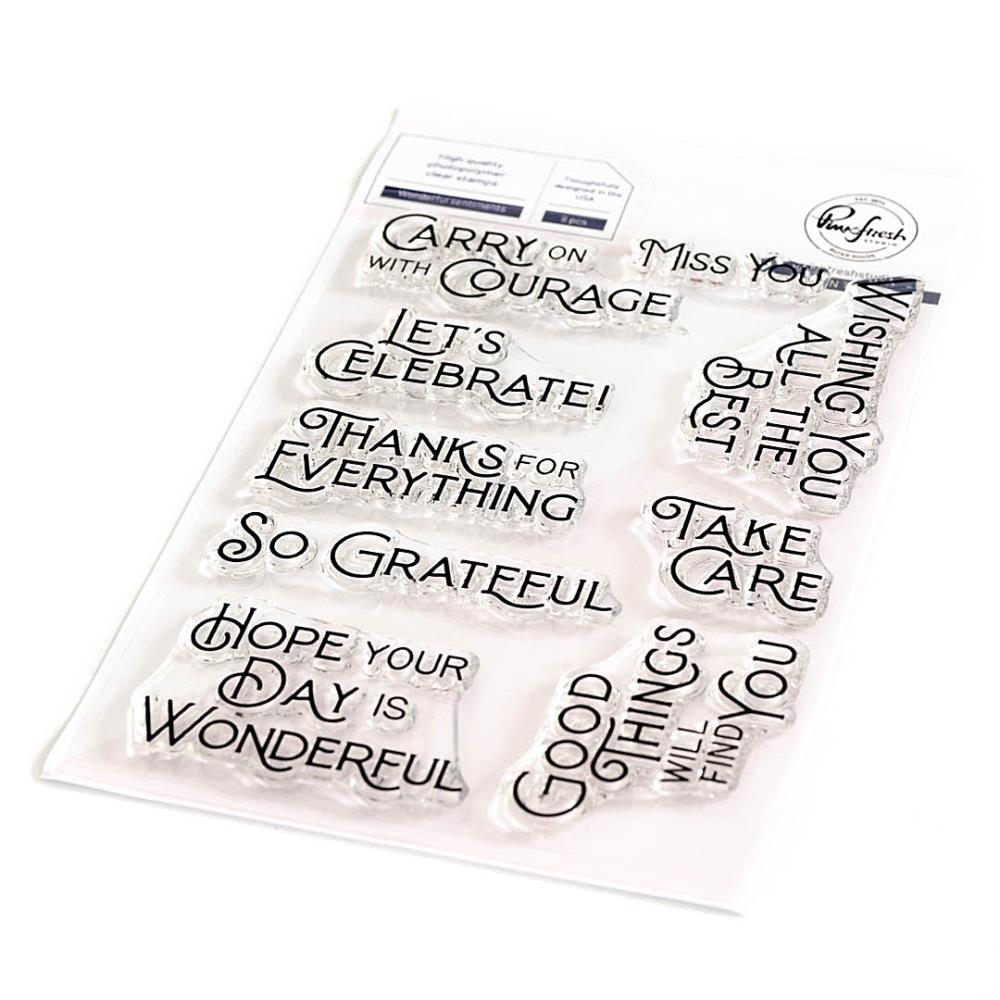 Pinkfresh Studio Clear Stamp Set - Wonderful Sentiments