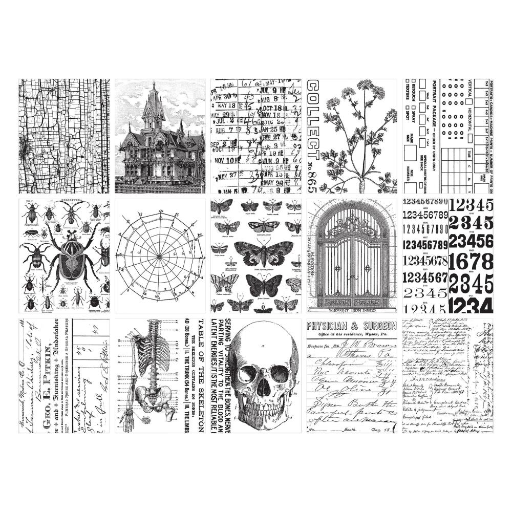 Tim Holtz Idea-ology Collage Paper Halloween