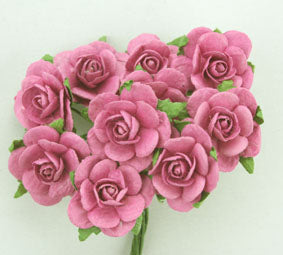 Roses 2cm Dusky Pink