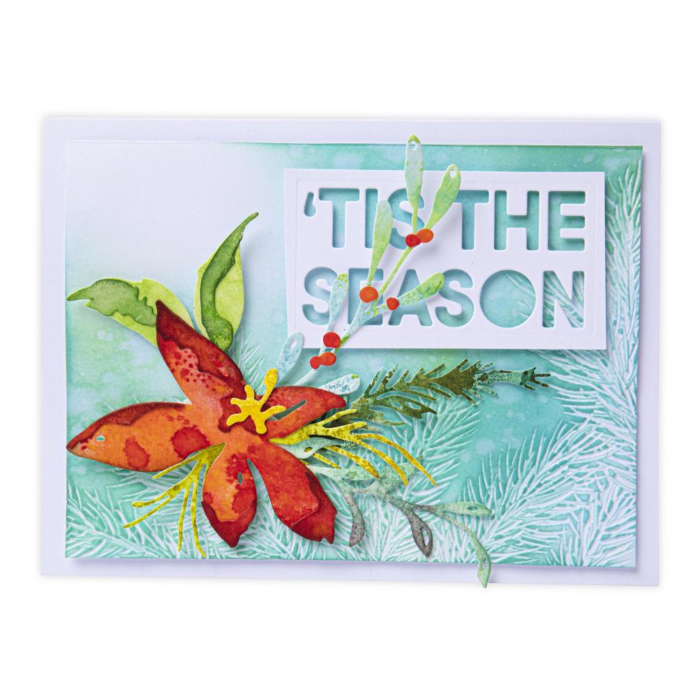 Sizzix Thinlits Dies By Tim Holtz - Holiday Brushstroke 3