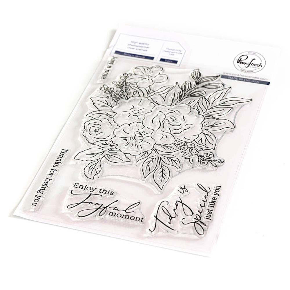 Pinkfresh Studio Clear Stamp Set - Today Is Special