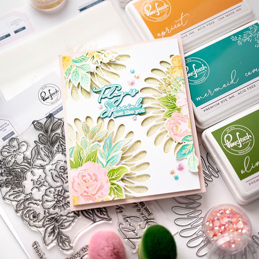 Pinkfresh Studio Clear Stamp Set - Today Is Special