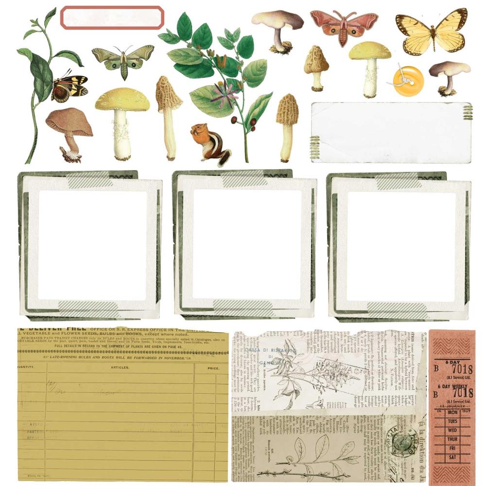 49 And Market Collection Pack 12X12 - Curators Meadow - Crafty Divas