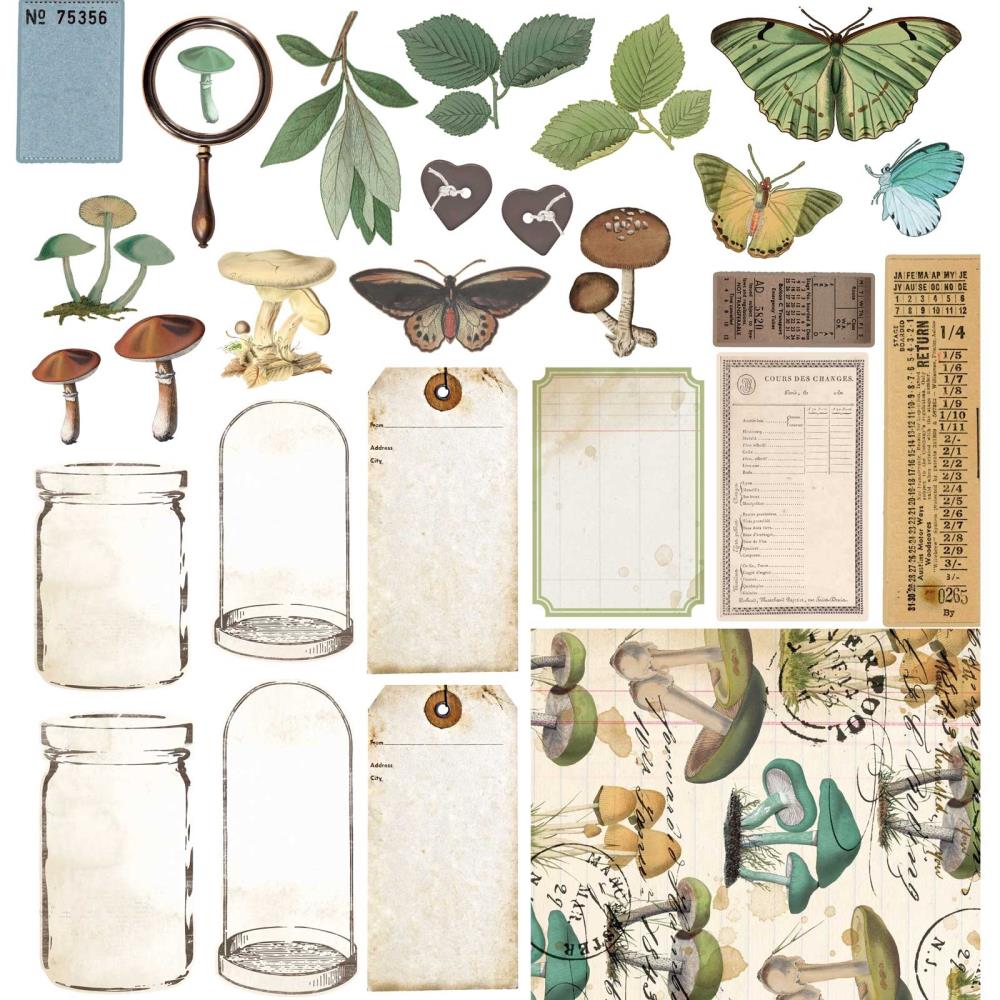 49 And Market Collection Pack 12X12 - Nature Study - Crafty Divas