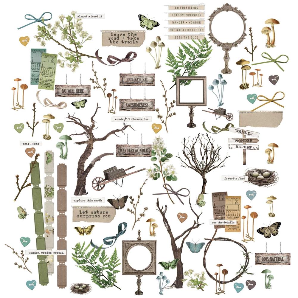 49 And Market - Laser Cut Outs Nature Study Elements - Crafty Divas