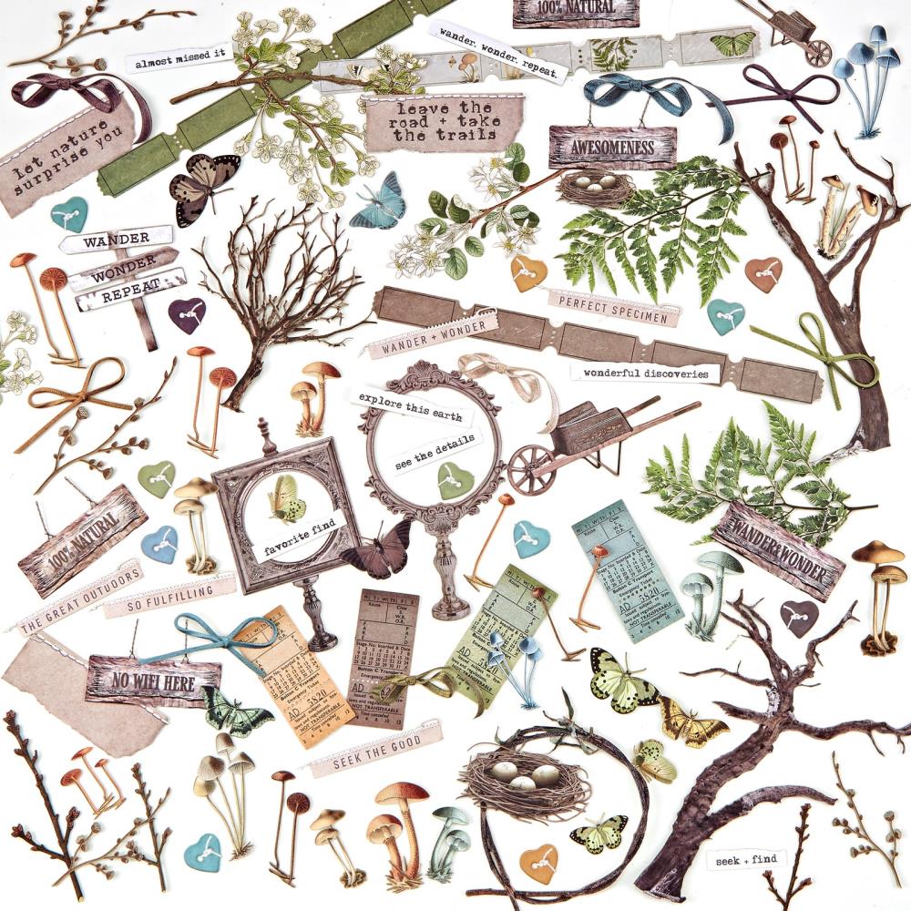 49 And Market - Laser Cut Outs Nature Study Elements - Crafty Divas