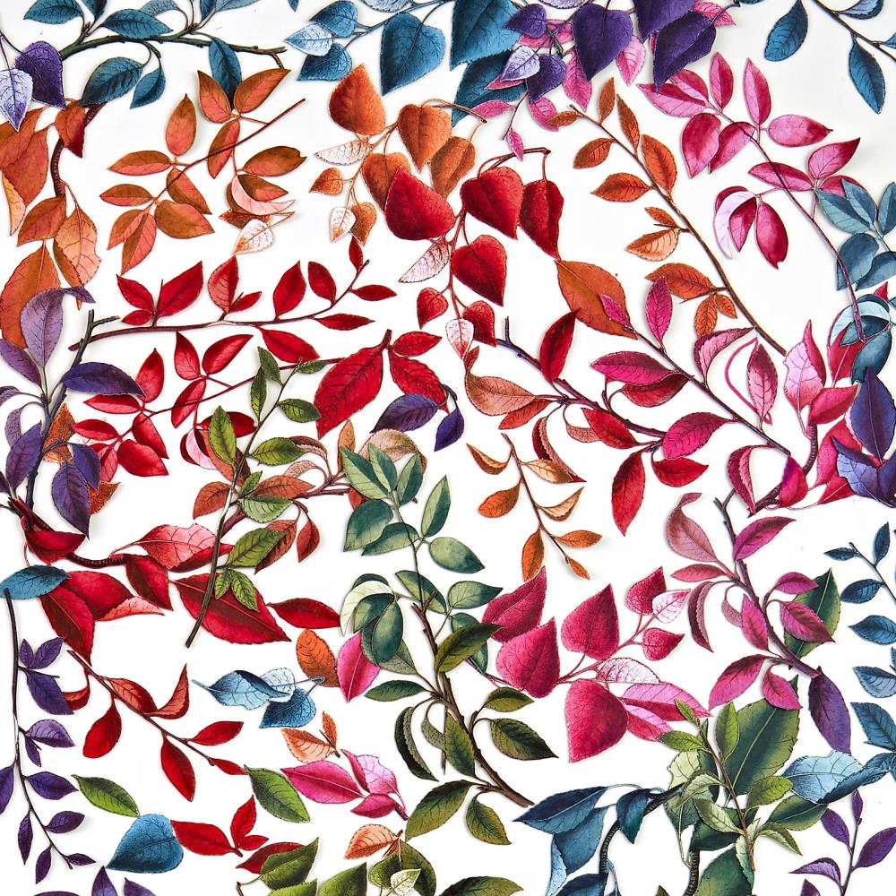 49 And Market - Laser Cut Outs Spectrum Gardenia Leaves - Crafty Divas