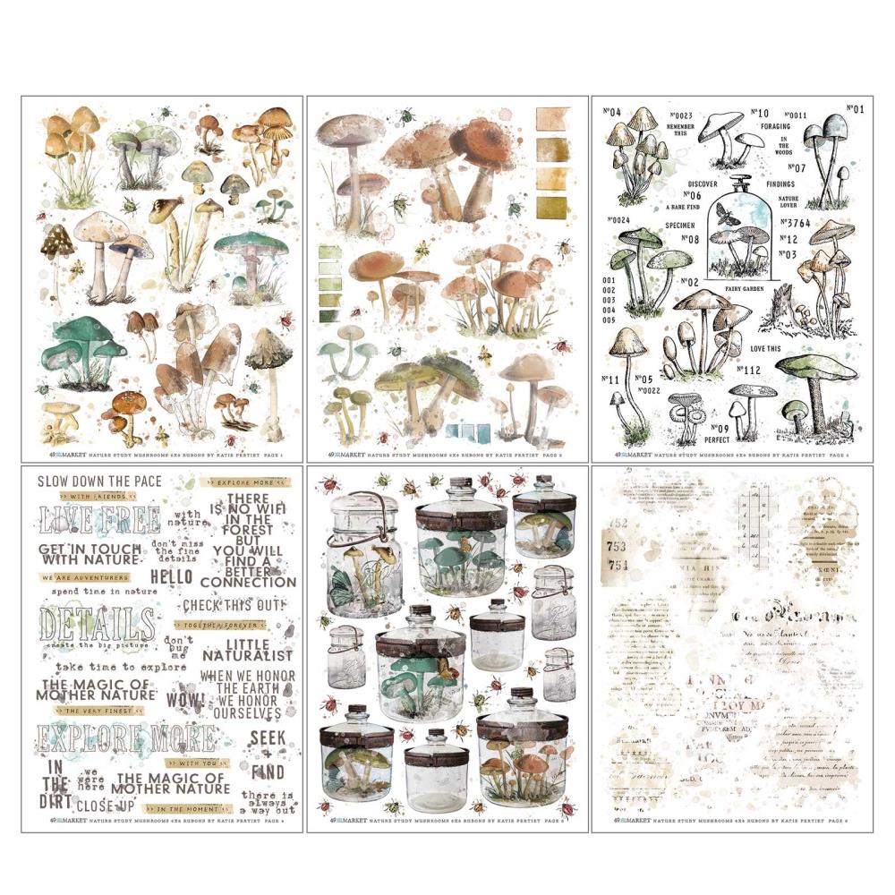 49 And Market - Rub-Ons 6 sheets Nature Study Mushroom - Crafty Divas
