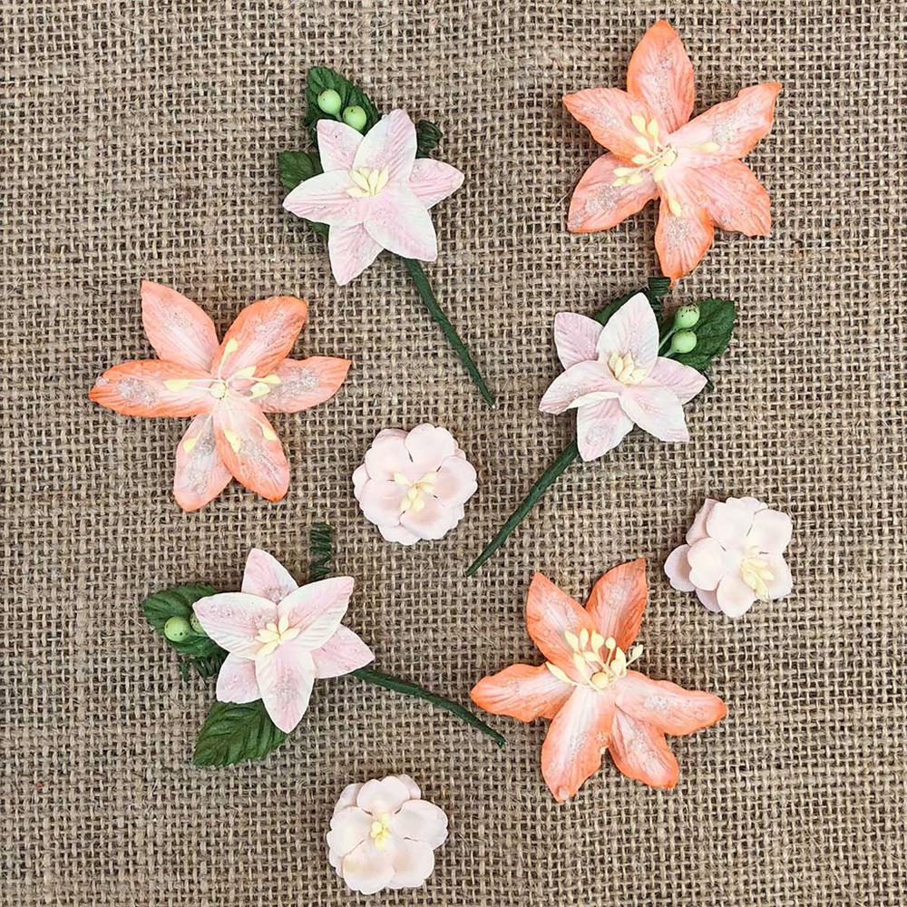 49 And Market Stargazers Paper Flowers - Peach Sorbet - Crafty Divas