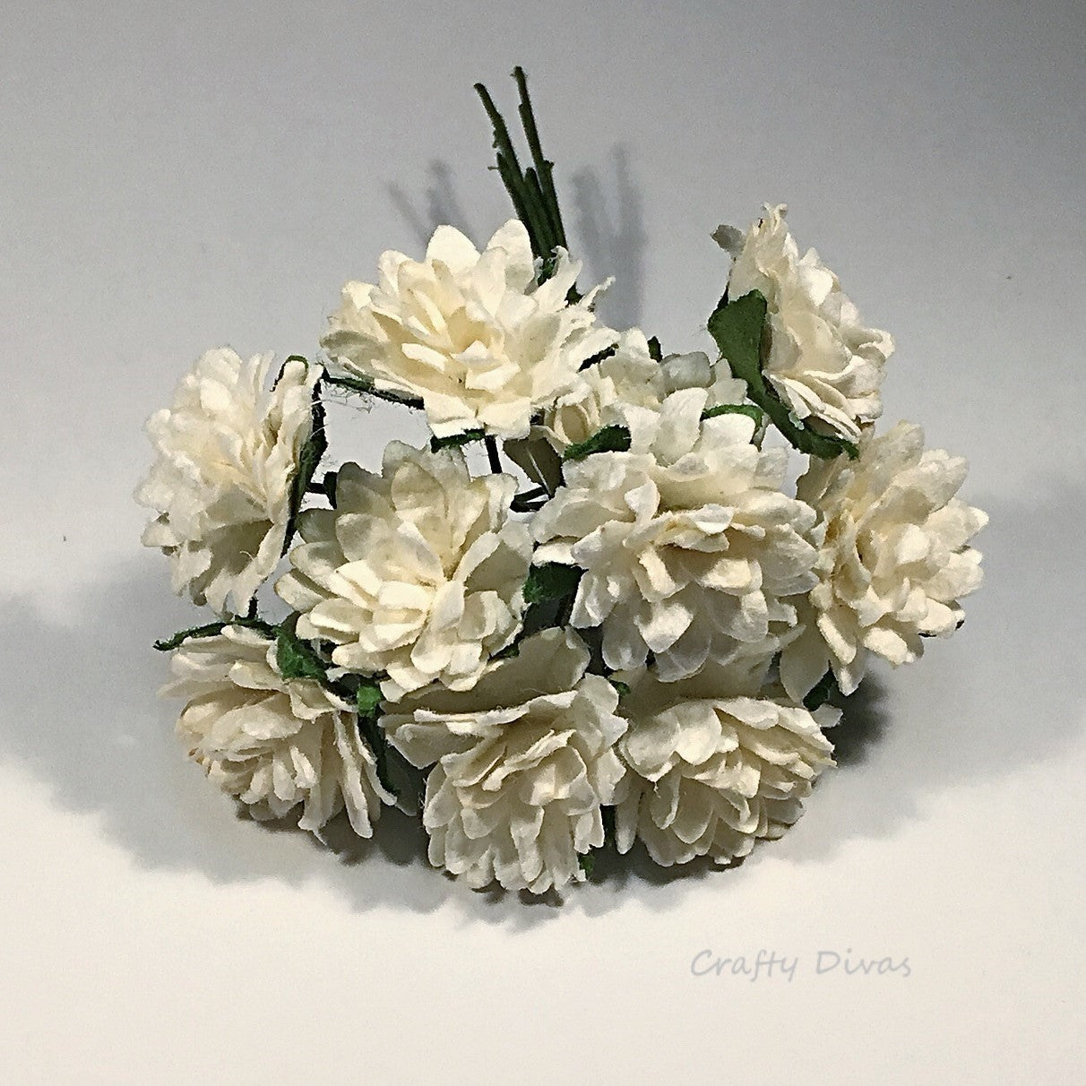 Mulberry Aster Daisies - Ivory