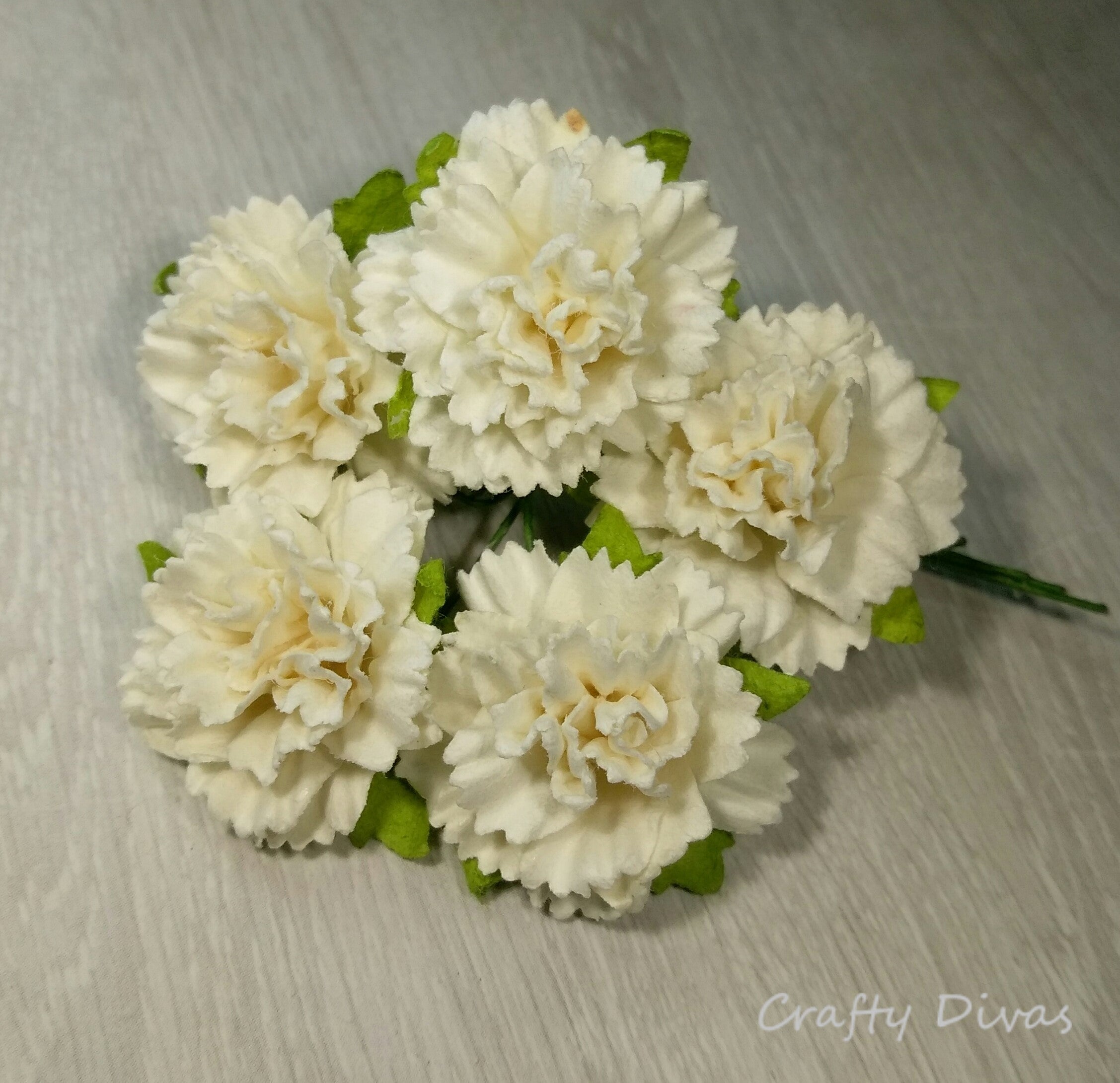 Mulberry Carnations - White