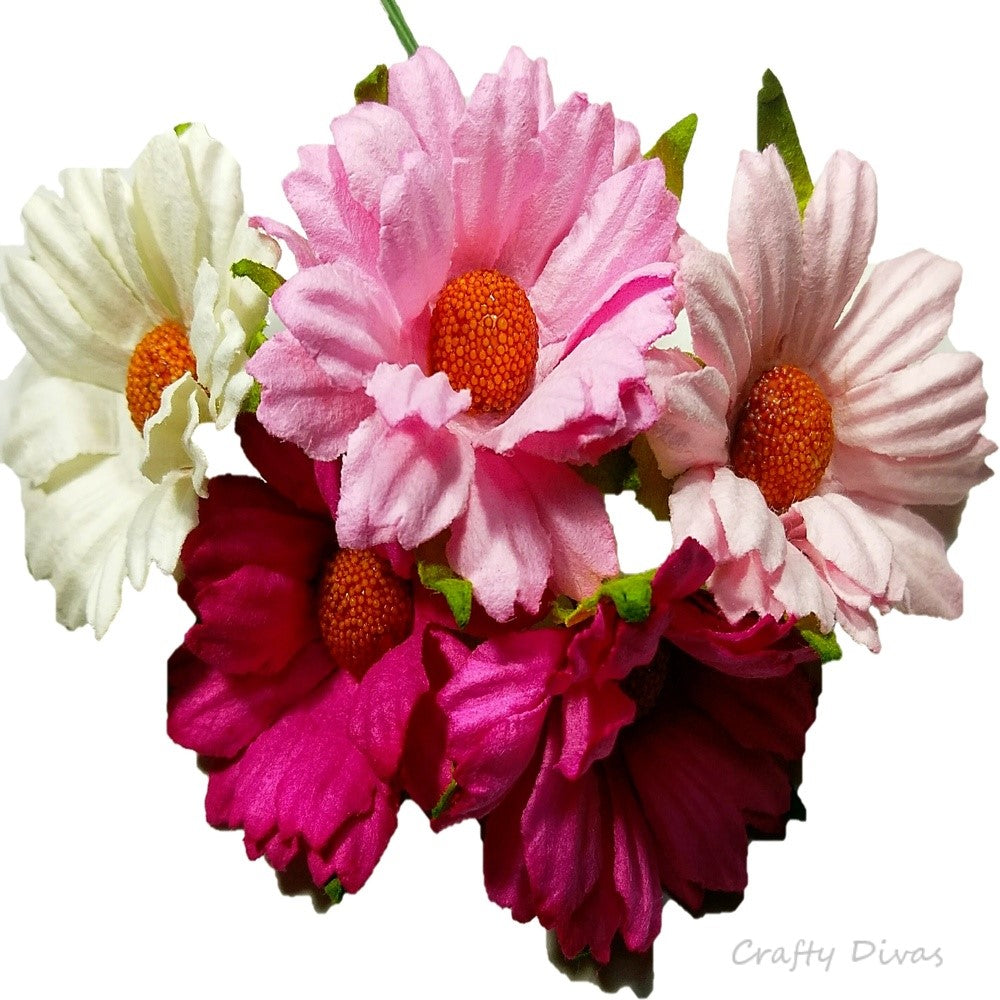 Mulberry Chrysanthemums- Shades of Pink