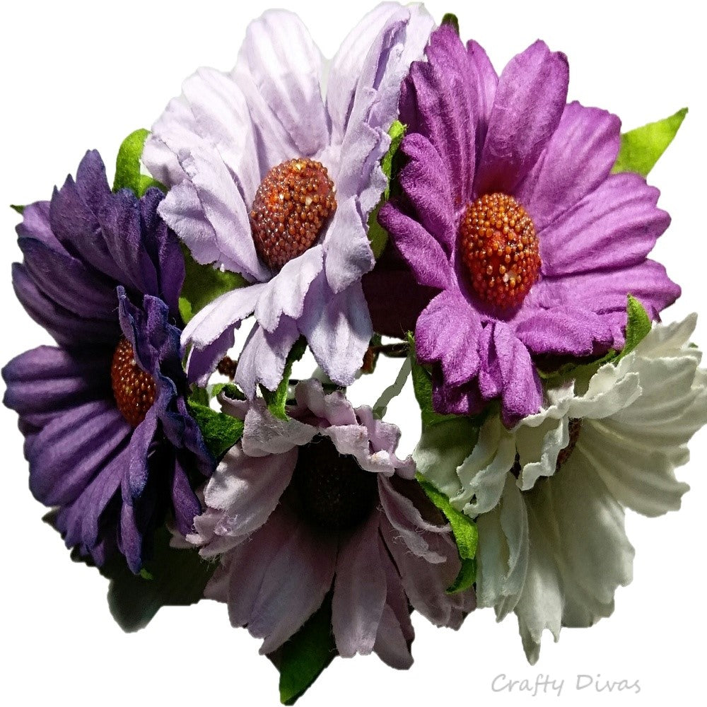 Mulberry Chrysanthemums- Shades of Purple
