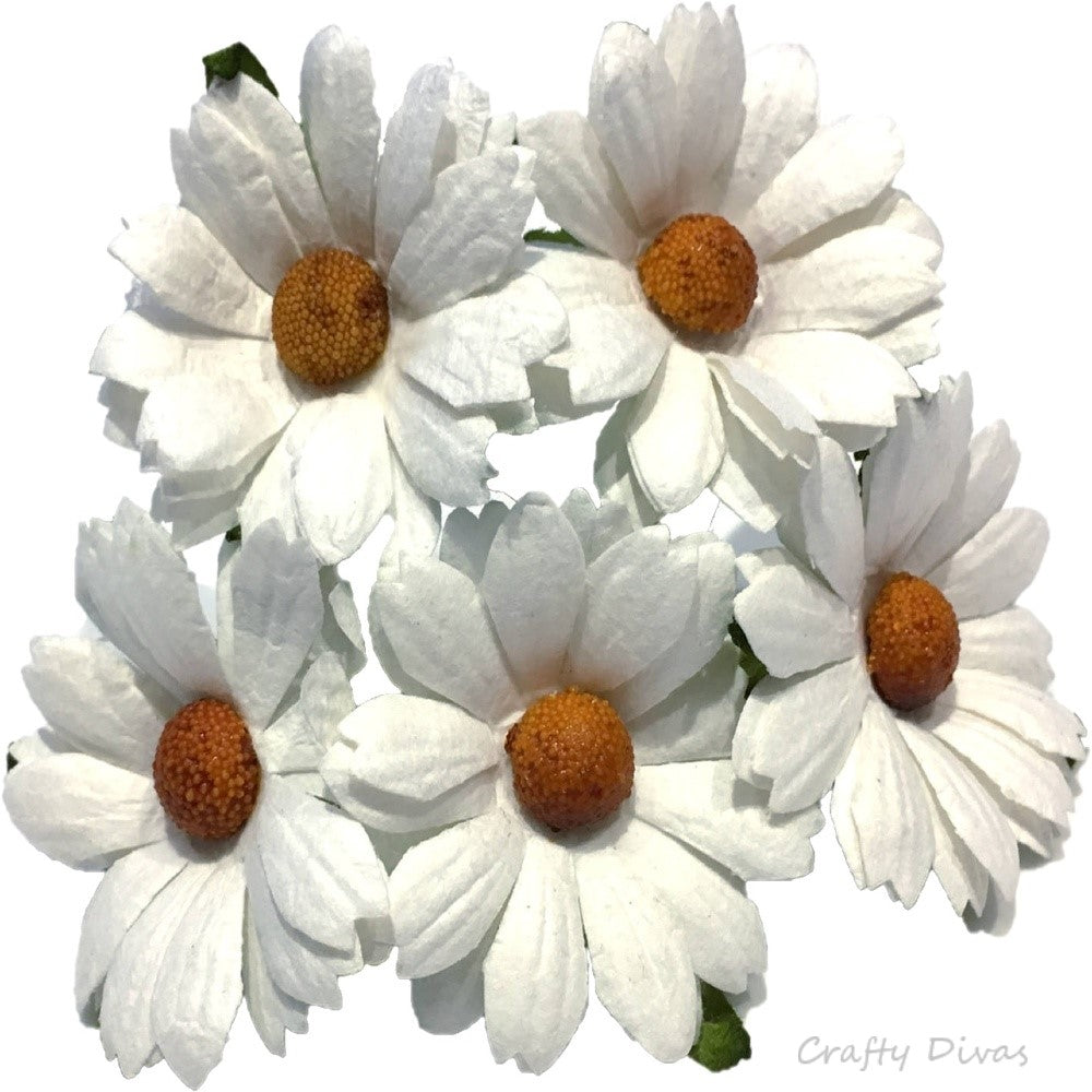 Mulberry Chrysanthemums- White