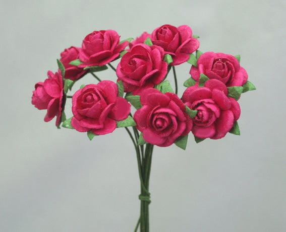 Roses 1.5cm Hot Pink