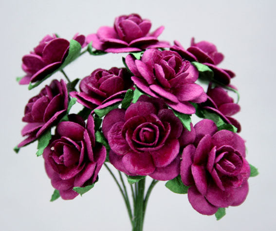 Roses 2cm Fuschia