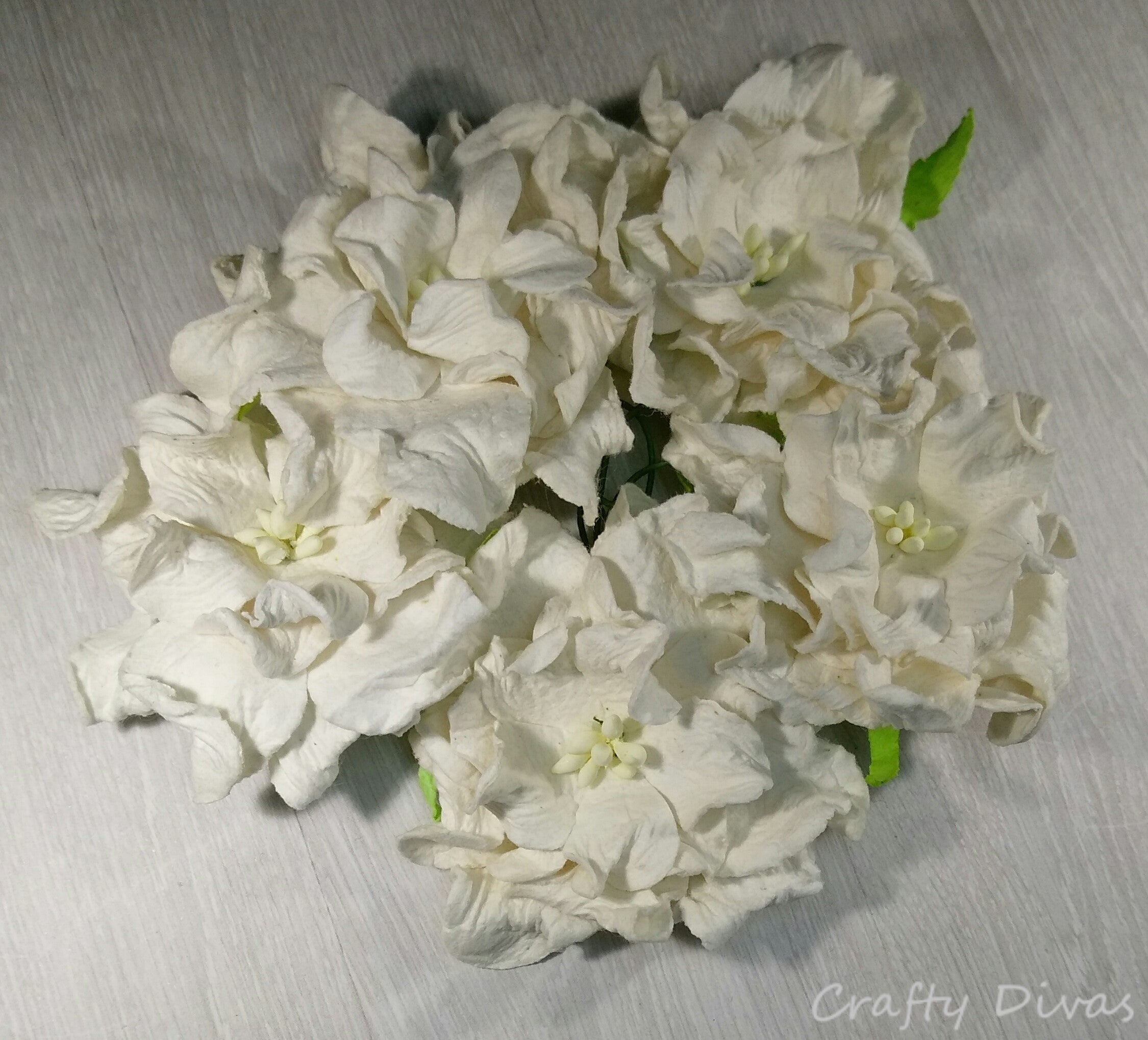 Gardenia 3.5cm - White