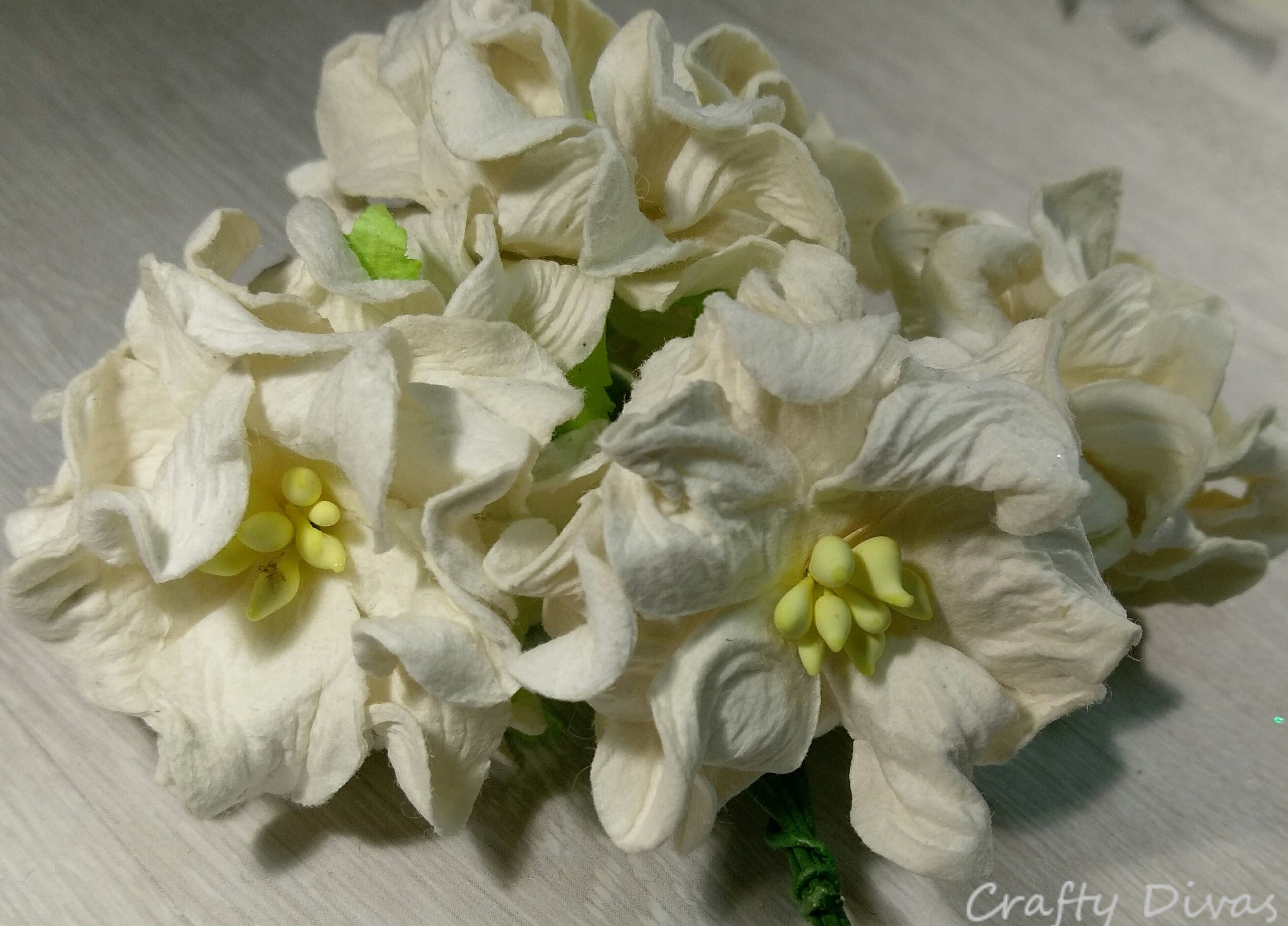 Gardenia 6cm - White
