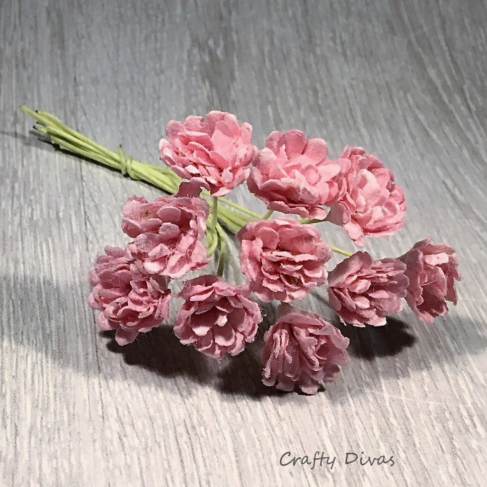 Mulberry Gypsophila Flowers- Pale Pink
