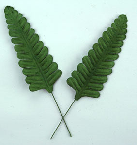 Fern Leaves - Green