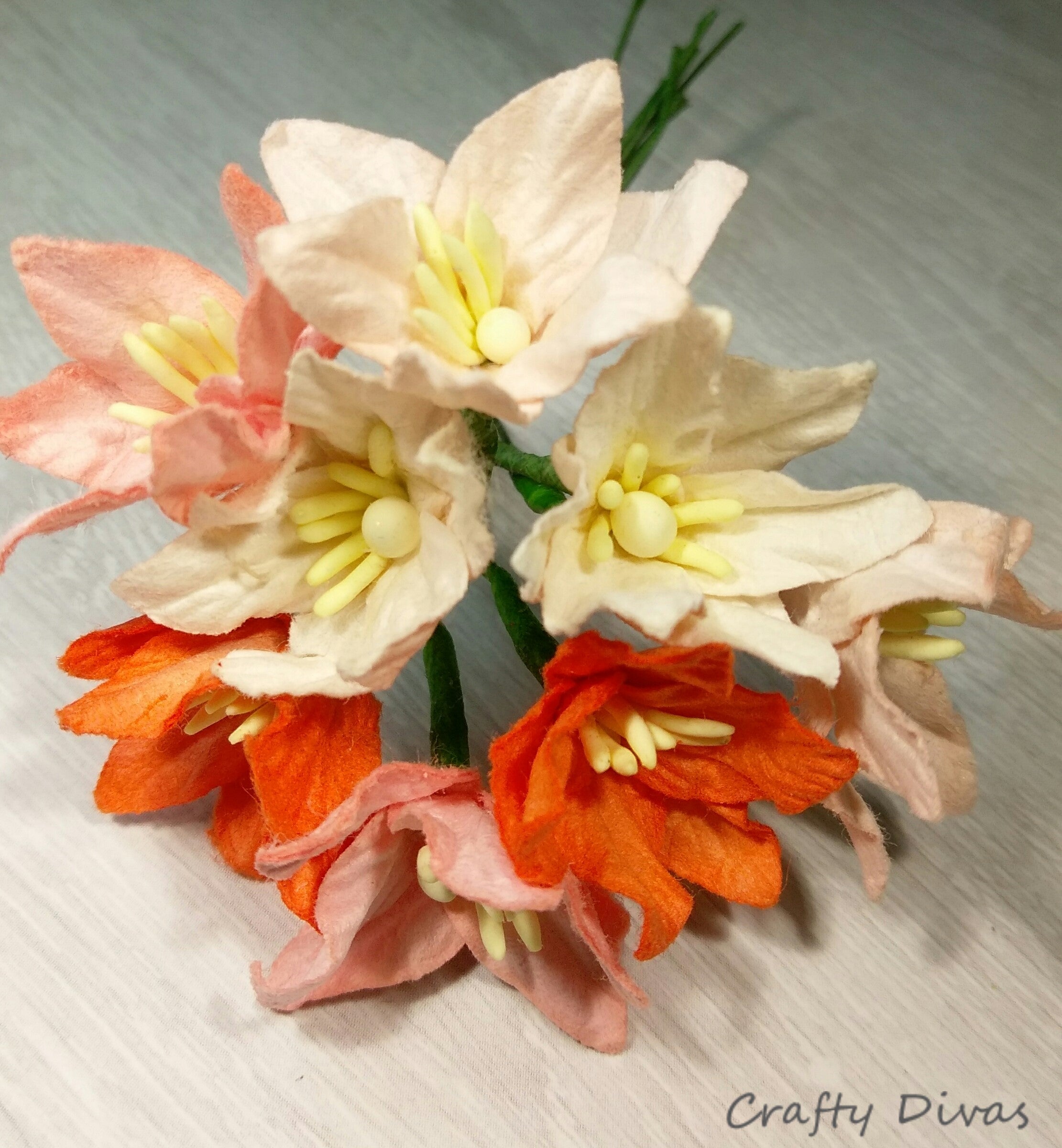 Mulberry Lily Flowers- Shades of Peach