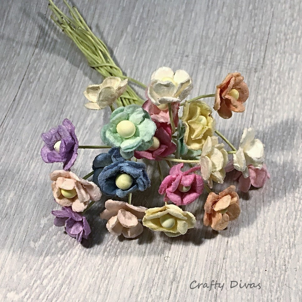 Mulberry Mini Sweetheart Blossom Flowers - Pastels
