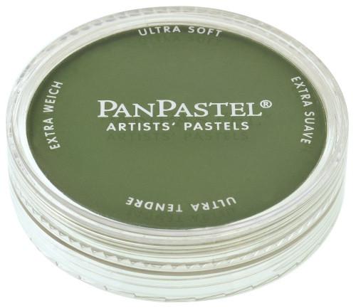 PanPastel - Chromium Oxide Green Shade - 660.3