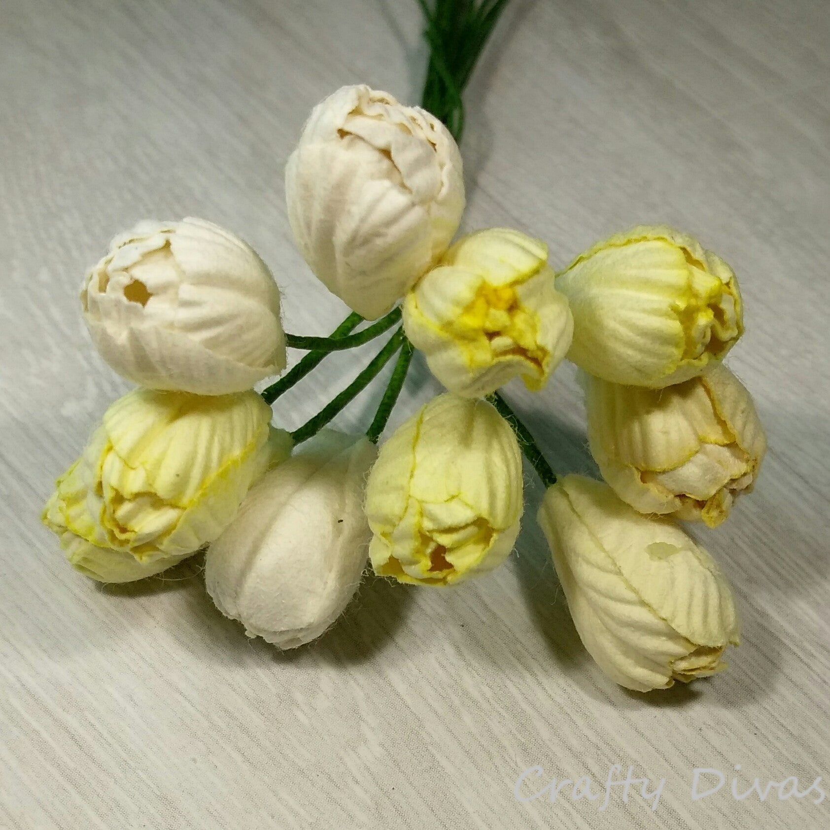 Mulberry Tulips- Shades of Lemon