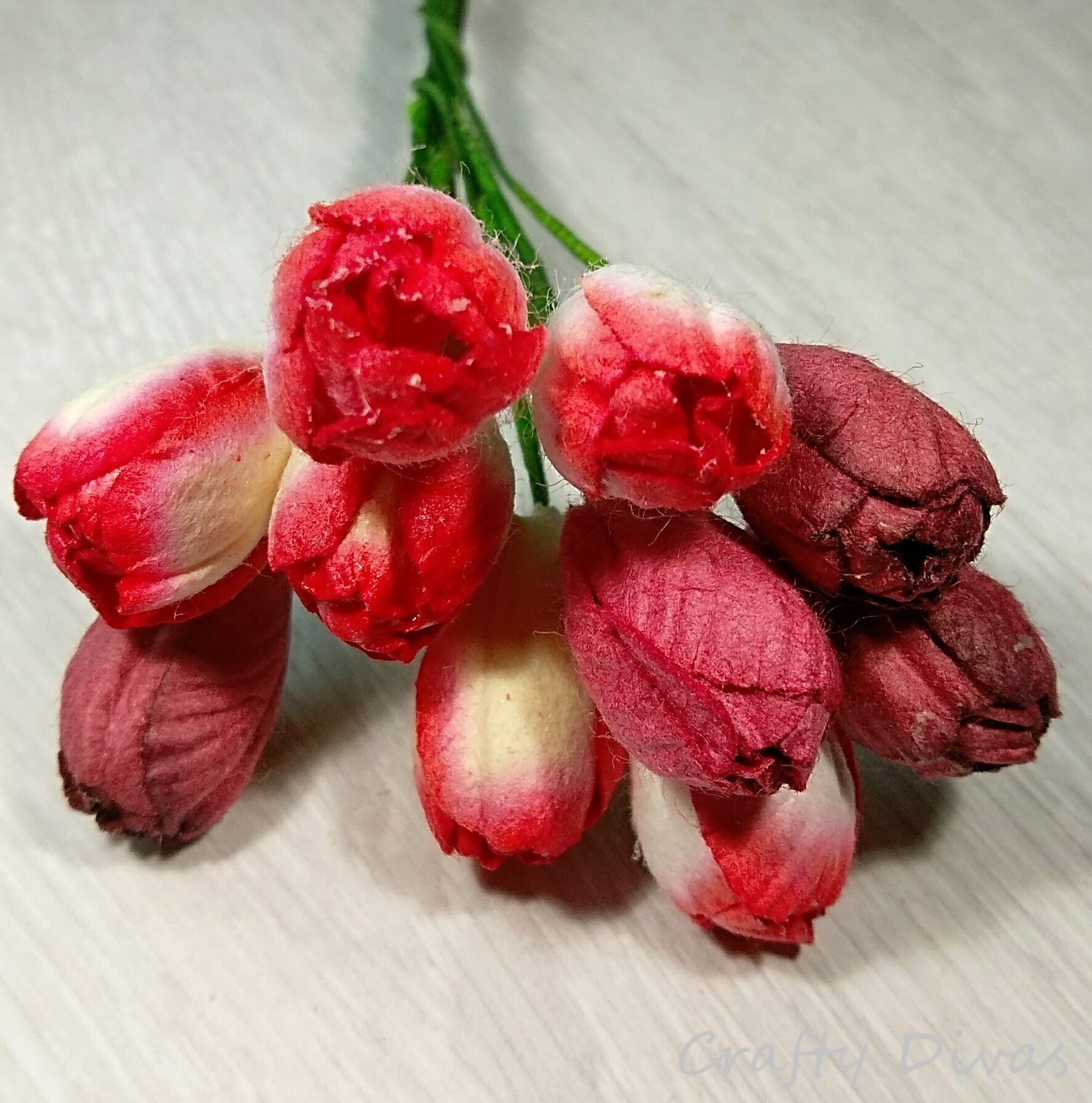 Mulberry Tulips - Shades of Red