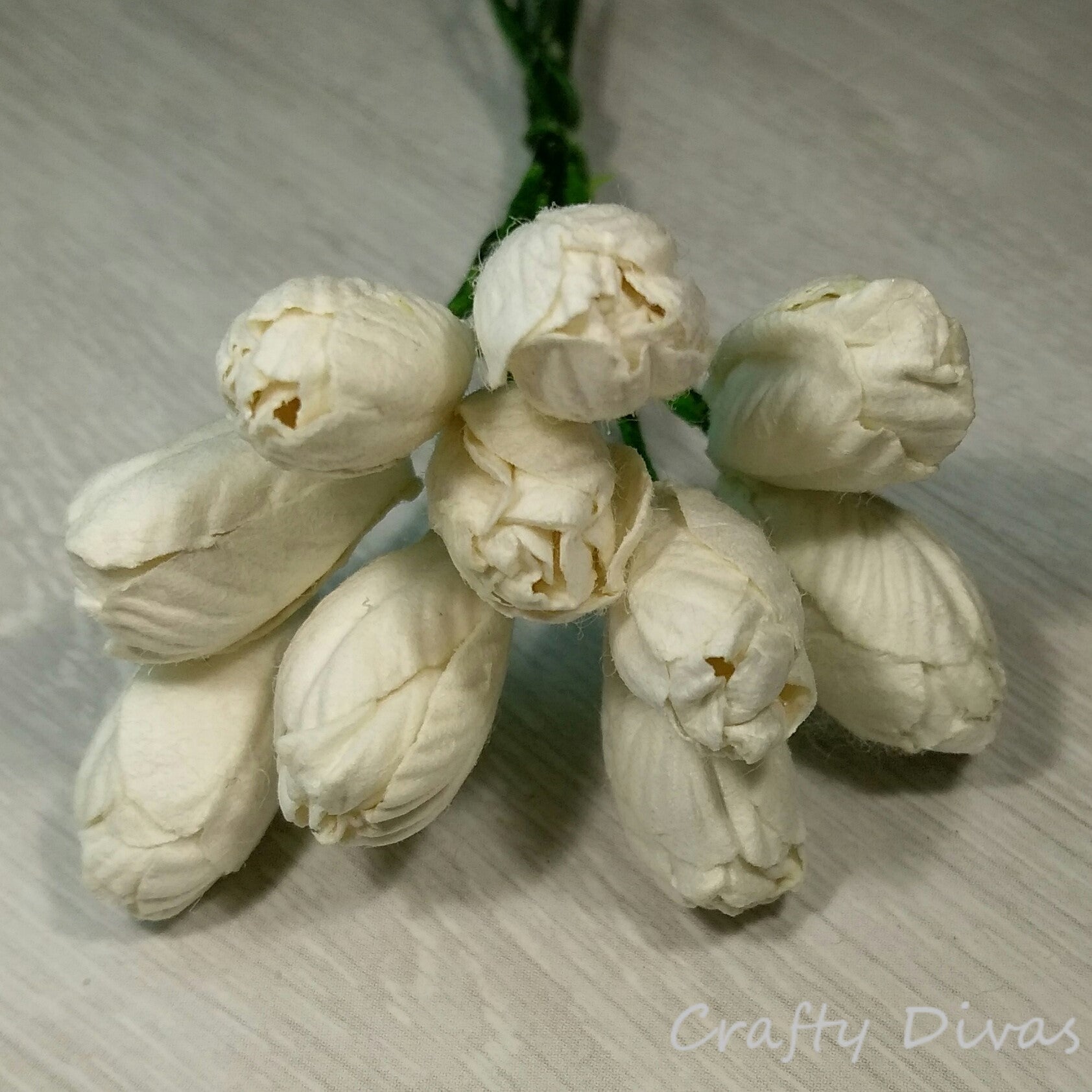 Mulberry Tulips - White