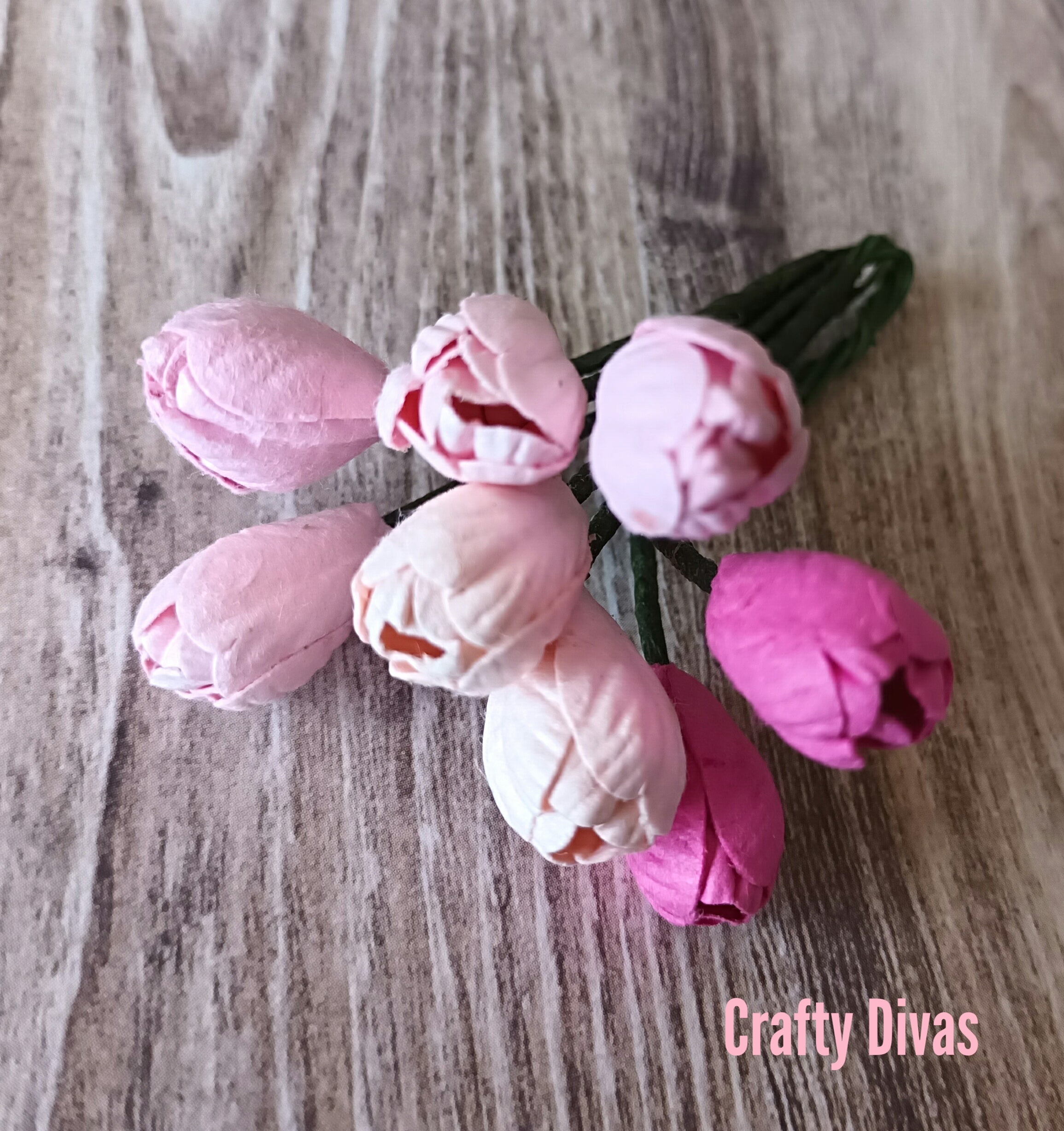 Mulberry Tulips - Shades of Pink