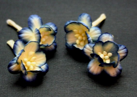 Cherry Blossoms - Blue Cream - Crafty Divas