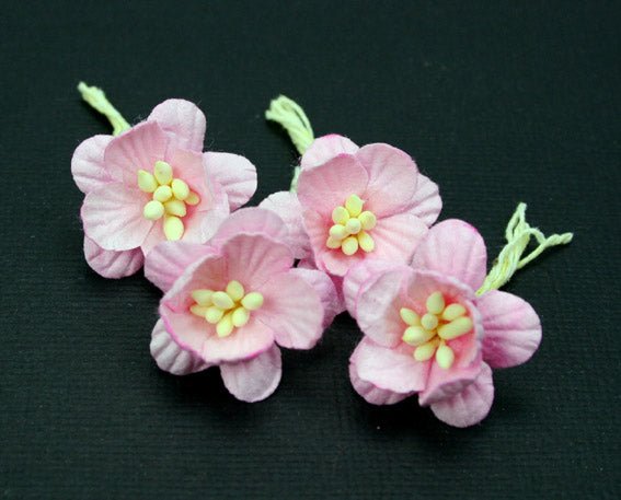 Cherry Blossoms - Pale Pink - Crafty Divas