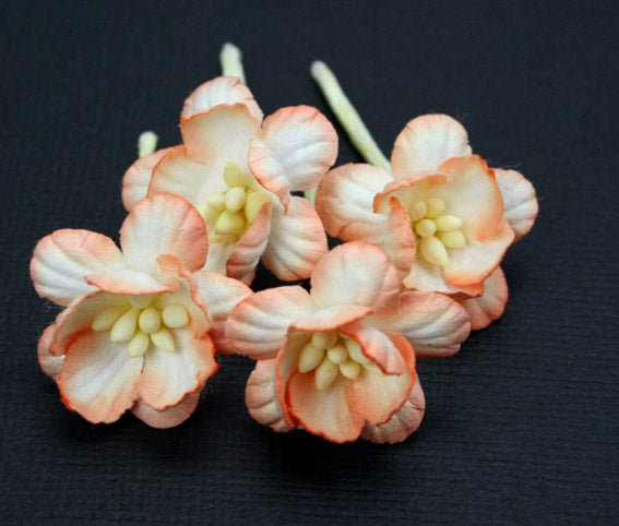Cherry Blossoms - Peach Cream - Crafty Divas