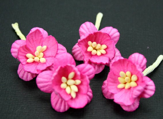 Cherry Blossoms - Pink - Crafty Divas