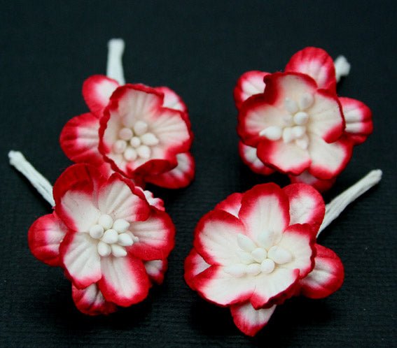 Cherry Blossoms - Red White - Crafty Divas