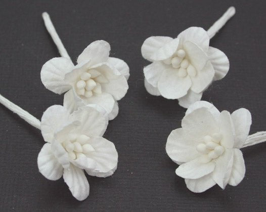 Cherry Blossoms - White - Crafty Divas