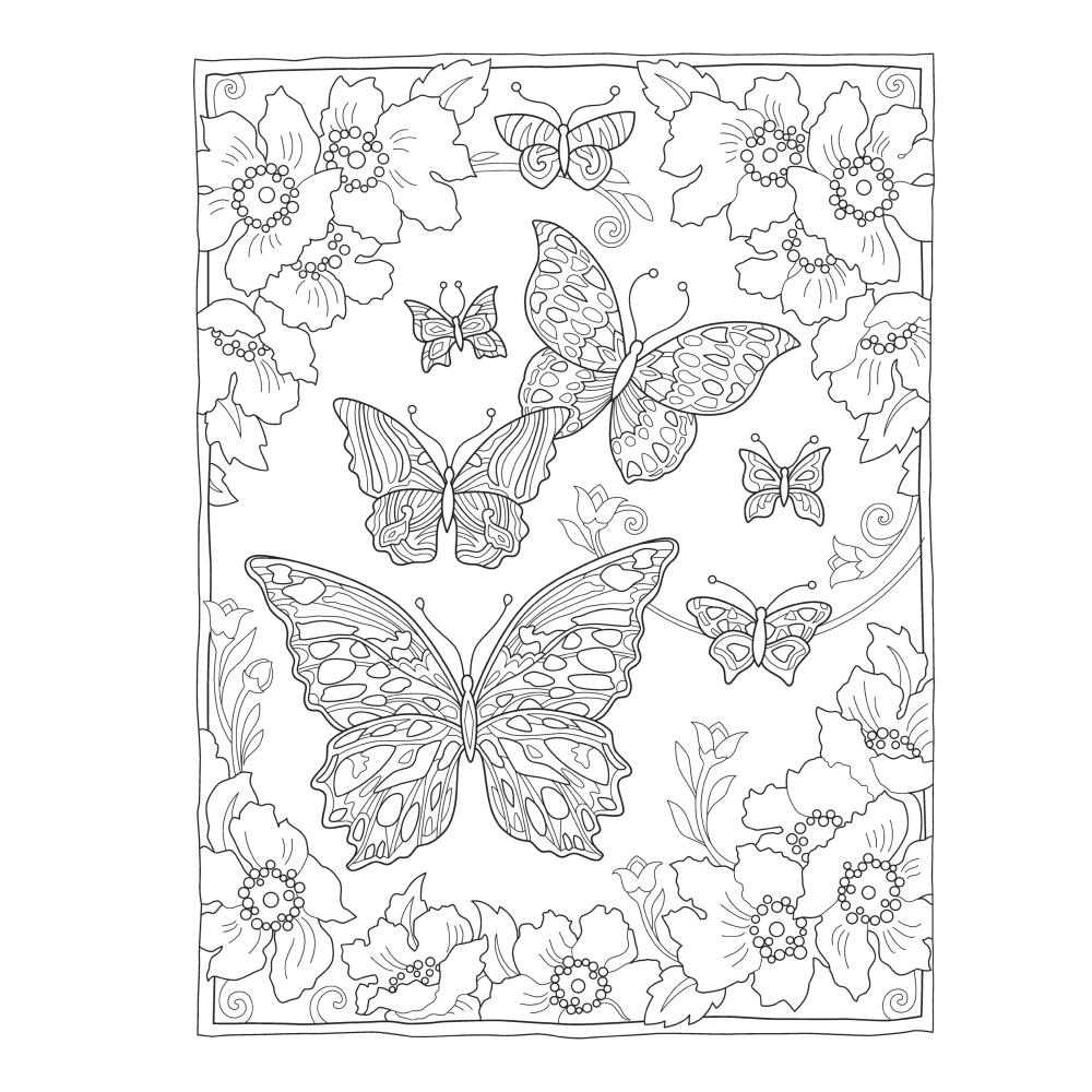 Creative Haven Colouring Book - Butterflies Flights - Crafty Divas